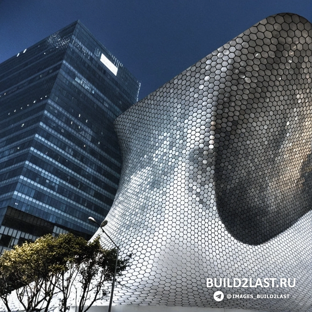 ����� Soumaya � ������ � ���������� ����������� �������, ���������� ����.